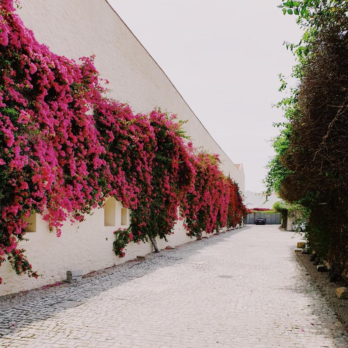 Apartamento Convento Das Bernadas Tavira Bagian luar foto